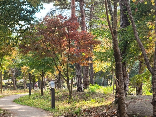 [004001004]하동호