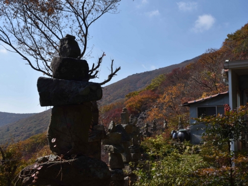 [004002]동호인 사진
